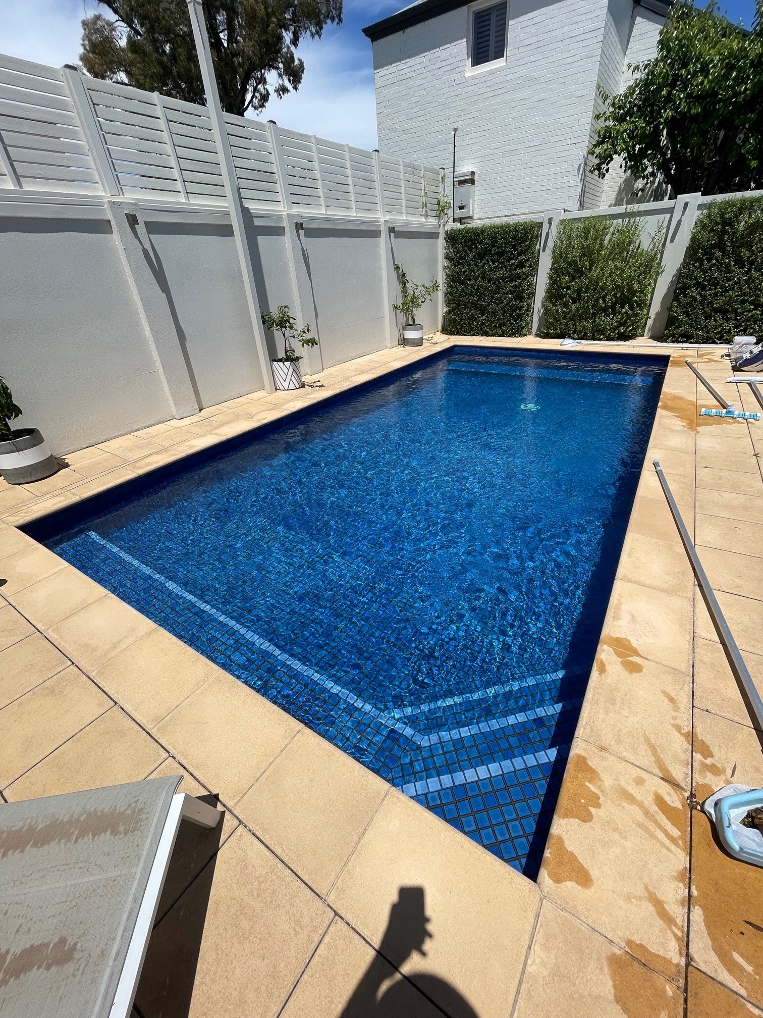 pool clean Hyde Park